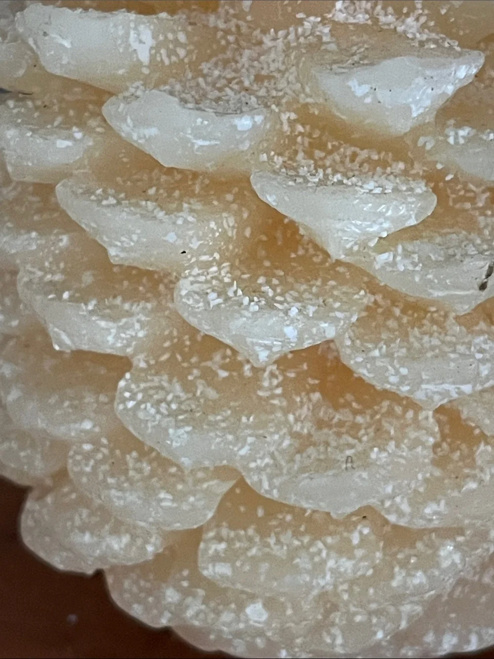 Crate and Barrel set of 2 Glis Ivory Pinecone Decorative Candles